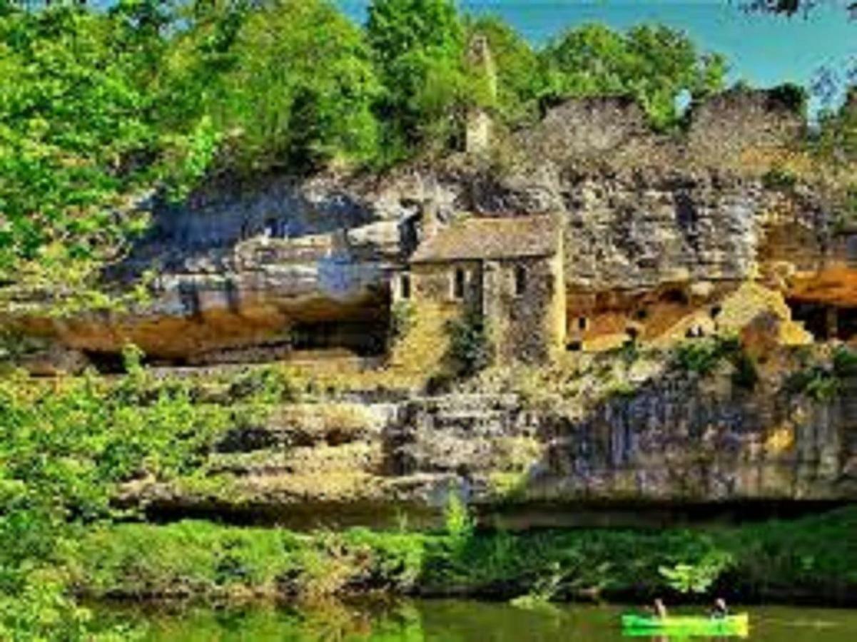 Les Pruniers De La Cipiere Villa Peyzac-le-Moustier Ngoại thất bức ảnh