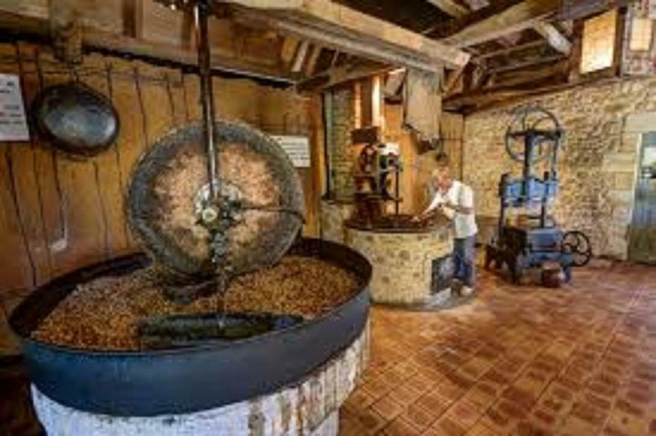 Les Pruniers De La Cipiere Villa Peyzac-le-Moustier Ngoại thất bức ảnh