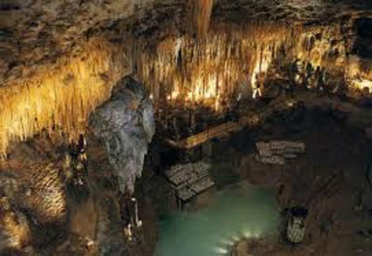 Les Pruniers De La Cipiere Villa Peyzac-le-Moustier Ngoại thất bức ảnh